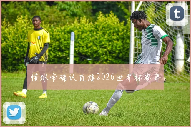 懂球帝确认直播2026世界杯赛事