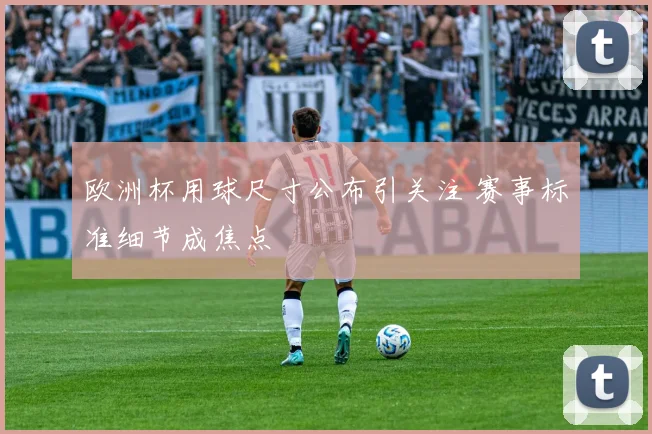 欧洲杯用球尺寸公布引关注 赛事标准细节成焦点