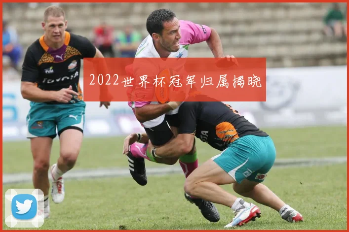 2022世界杯冠军归属揭晓