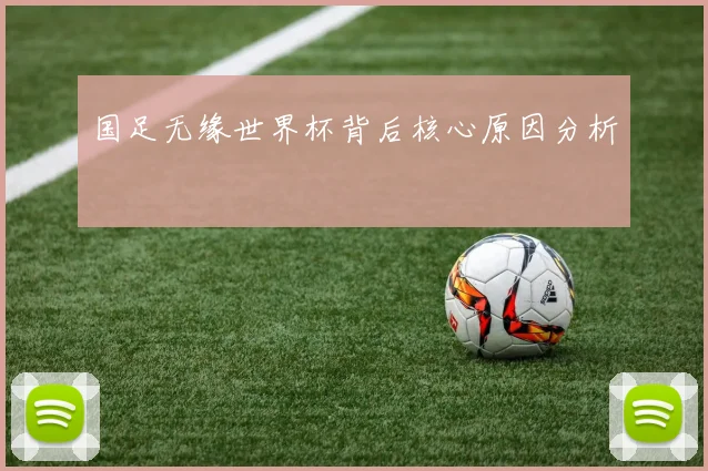 国足无缘世界杯背后核心原因分析