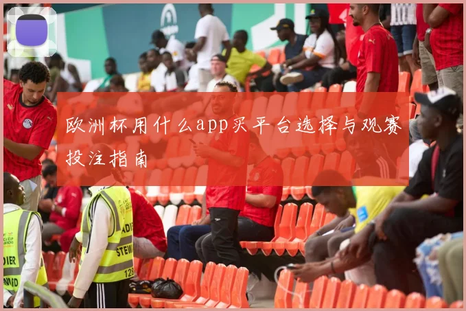 欧洲杯用什么app买平台选择与观赛投注指南