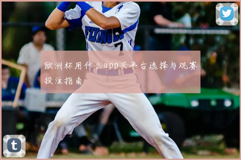 欧洲杯用什么app买平台选择与观赛投注指南