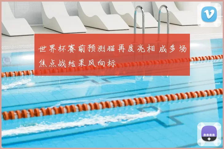 世界杯赛前预测猫再度亮相 成多场焦点战结果风向标