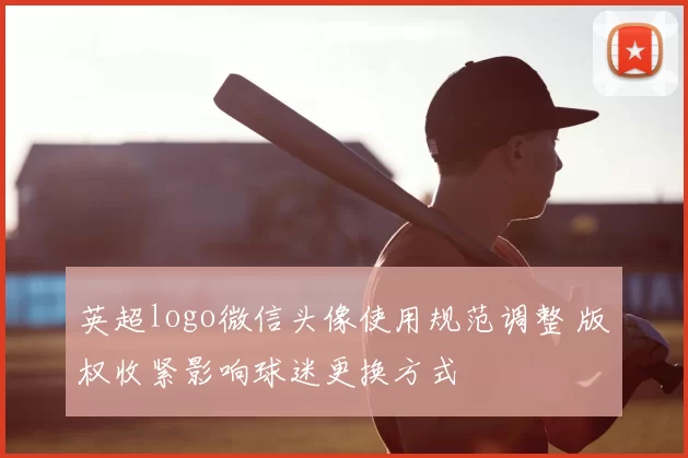 英超logo微信头像使用规范调整 版权收紧影响球迷更换方式