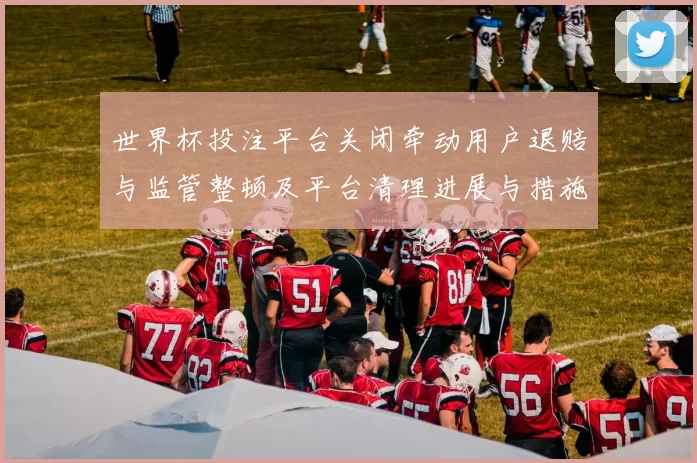 世界杯投注平台关闭牵动用户退赔与监管整顿及平台清理进展与措施
