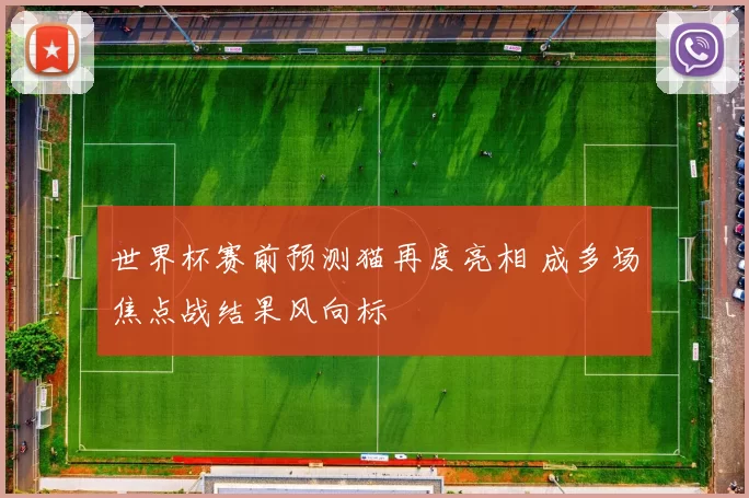 世界杯赛前预测猫再度亮相 成多场焦点战结果风向标