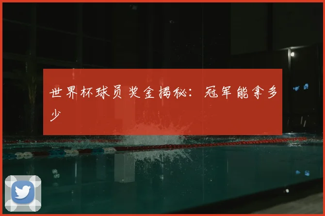 世界杯球员奖金揭秘：冠军能拿多少