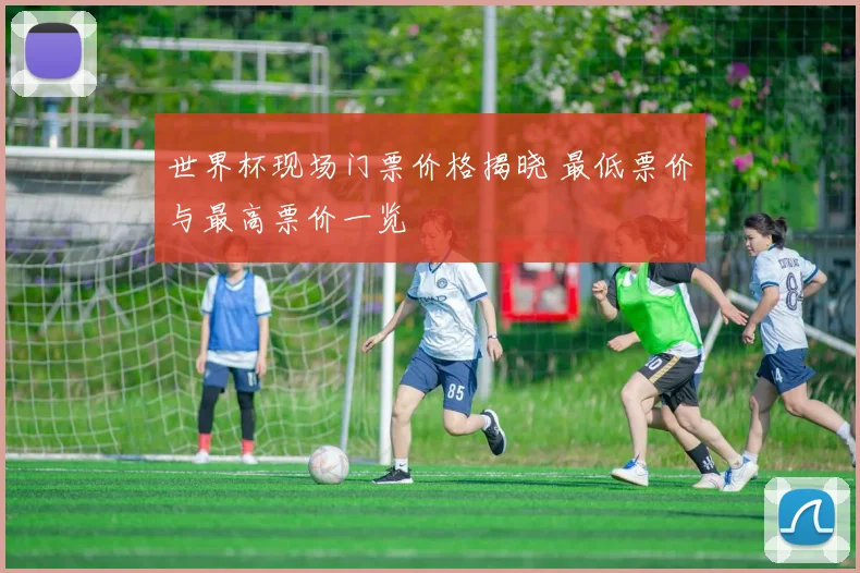 世界杯现场门票价格揭晓 最低票价与最高票价一览