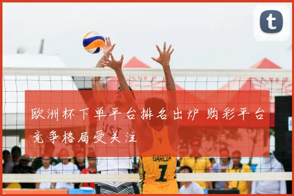 欧洲杯下单平台排名出炉 购彩平台竞争格局受关注