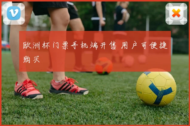 欧洲杯门票手机端开售 用户可便捷购买