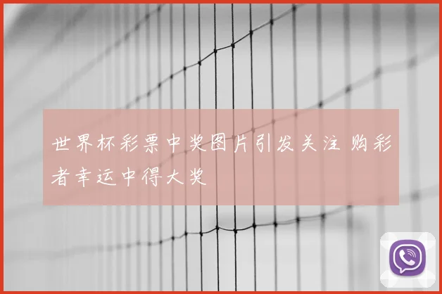 世界杯彩票中奖图片引发关注 购彩者幸运中得大奖