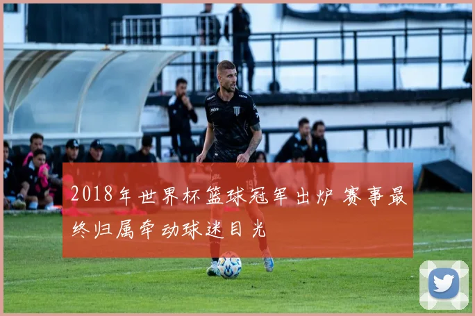 2018年世界杯篮球冠军出炉 赛事最终归属牵动球迷目光
