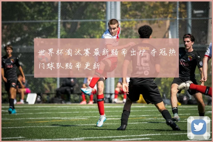 世界杯淘汰赛最新赔率出炉 夺冠热门球队赔率更新
