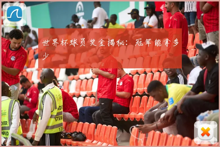 世界杯球员奖金揭秘:冠军能拿多少
