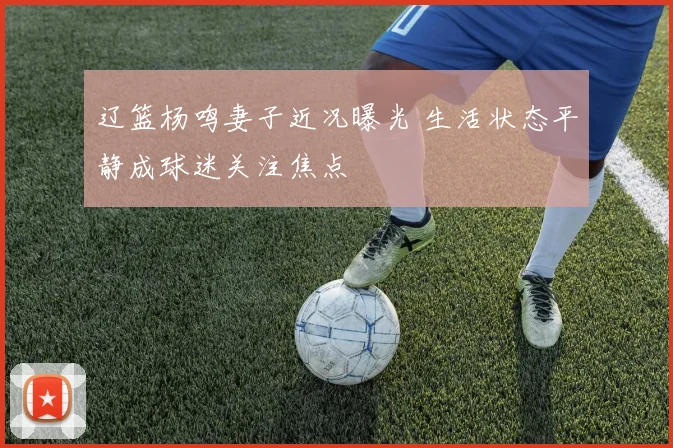 辽篮杨鸣妻子近况曝光 生活状态平静成球迷关注焦点