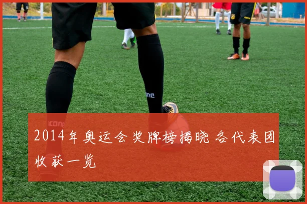2014年奥运会奖牌榜揭晓 各代表团收获一览